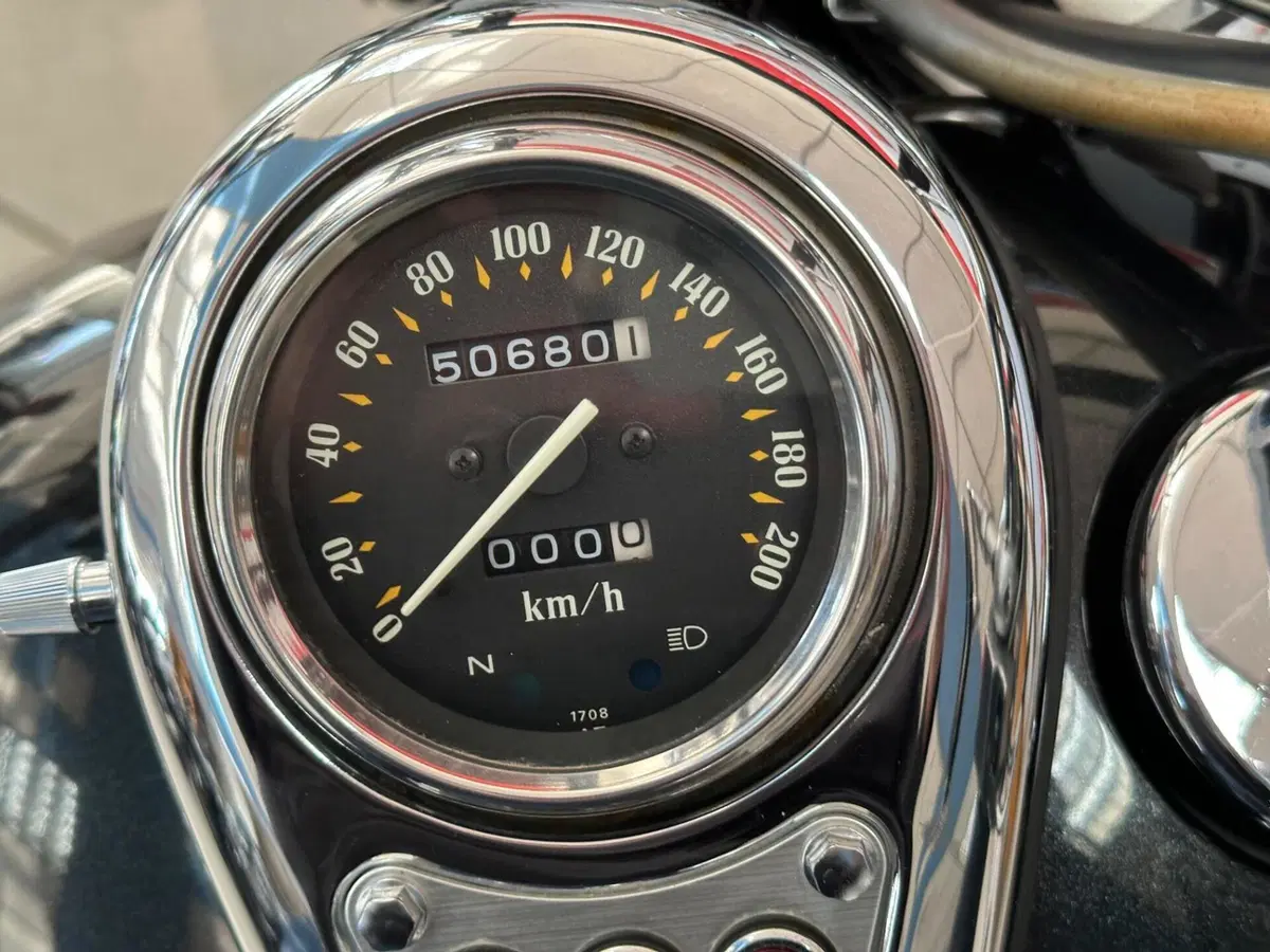 Kawasaki VN 800 Classic (2001 - 06) (5)