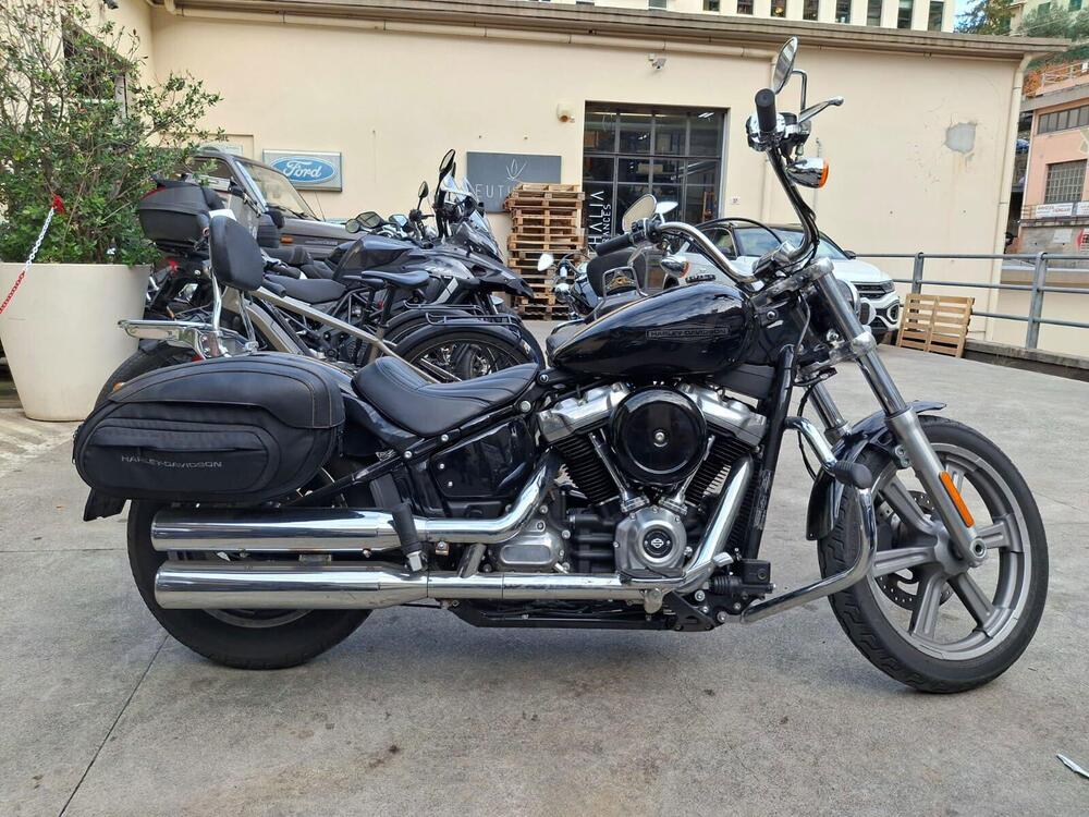 Harley-Davidson Softail Standard (2021 - 25)