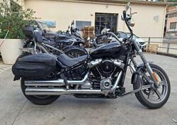 Harley-Davidson Softail Standard (2021 - 25) usata