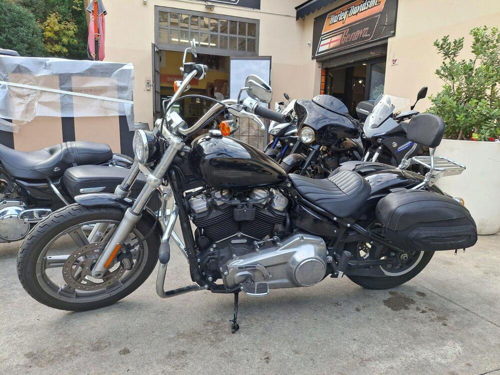 Harley-Davidson Softail Standard (2021 - 25) (2)