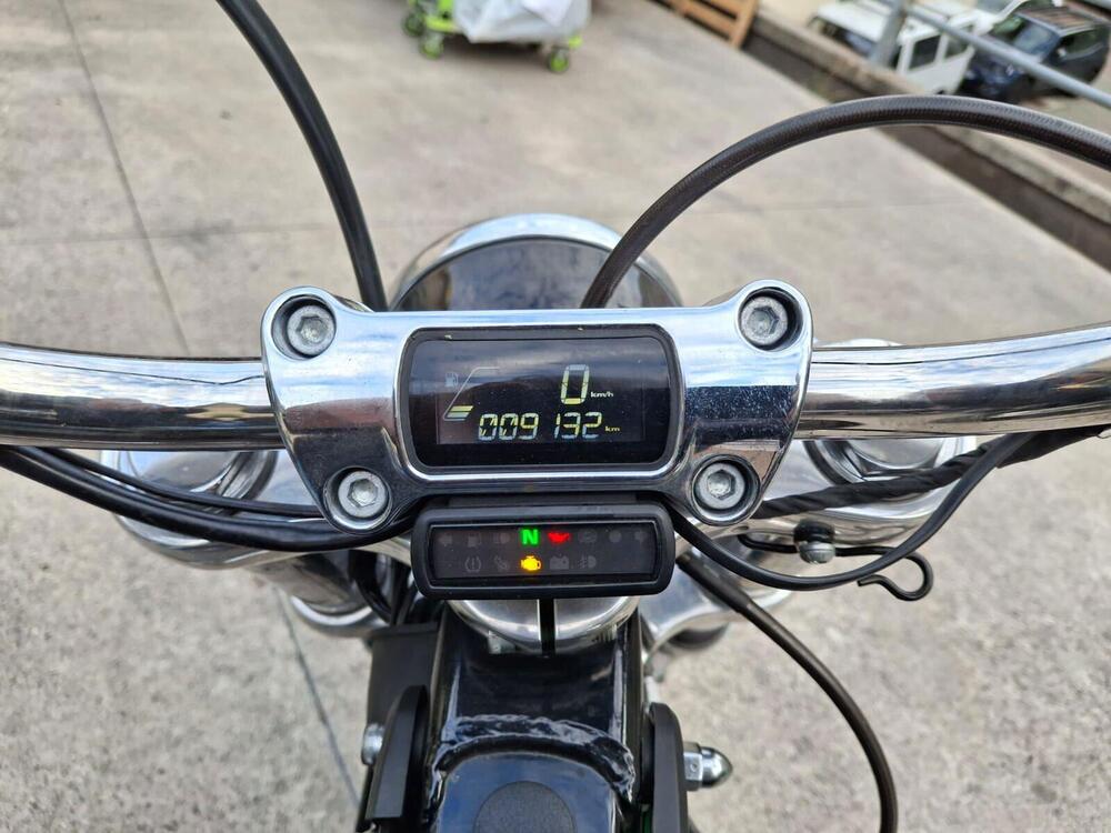 Harley-Davidson Softail Standard (2021 - 25) (3)