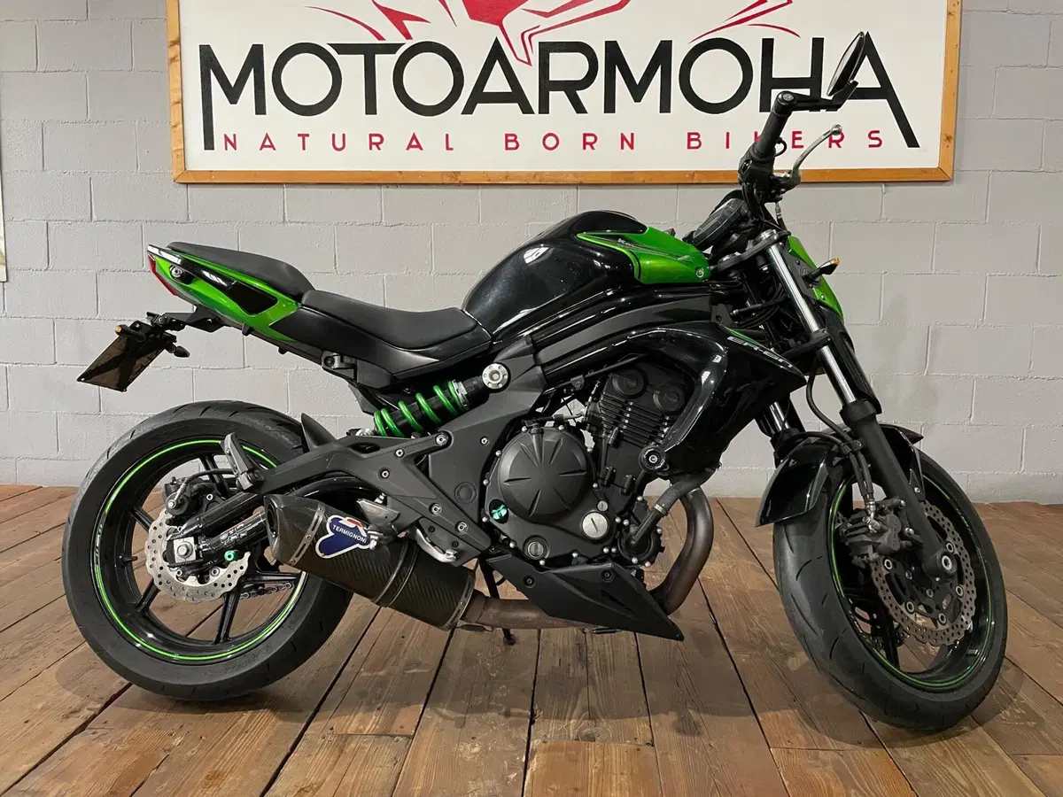 Kawasaki ER-6N ABS (2012 - 16) (5)