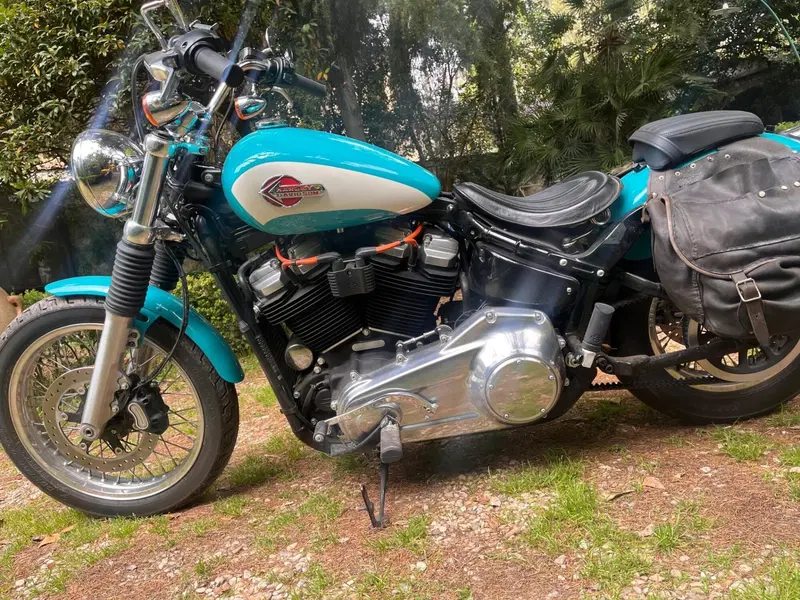 Harley-Davidson Softail Standard (2020) - FXST (5)