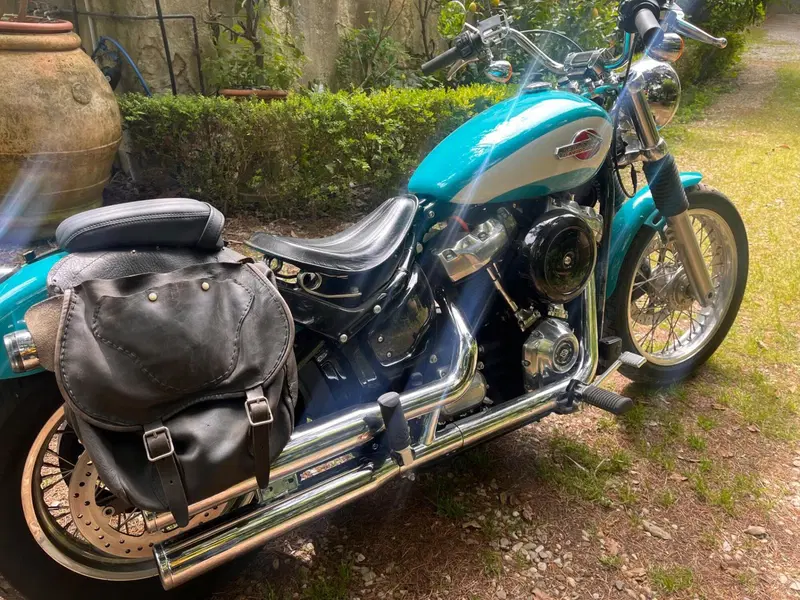 Harley-Davidson Softail Standard (2020) - FXST (7)