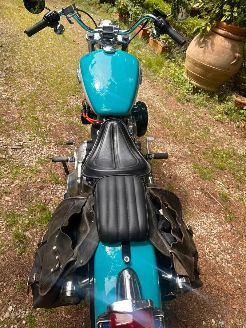Harley-Davidson Softail Standard (2020) - FXST (8)
