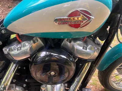 Harley-Davidson Softail Standard (2020) - FXST usata