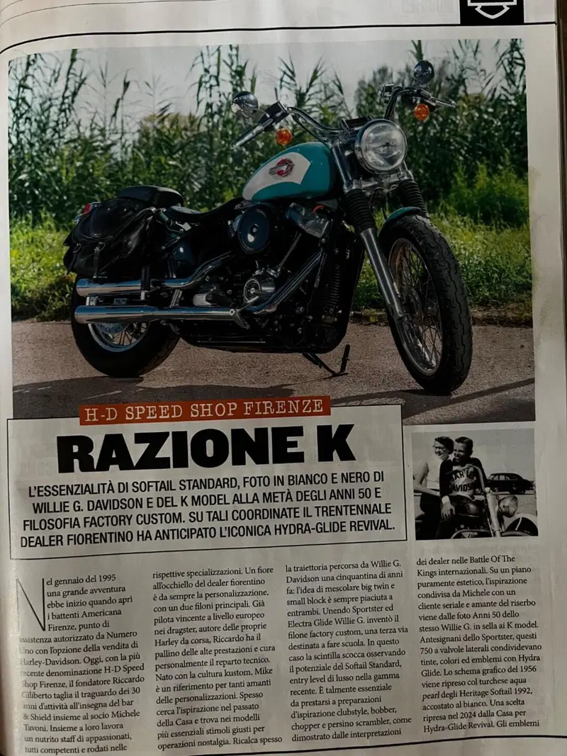 Harley-Davidson Softail Standard (2020) - FXST (10)