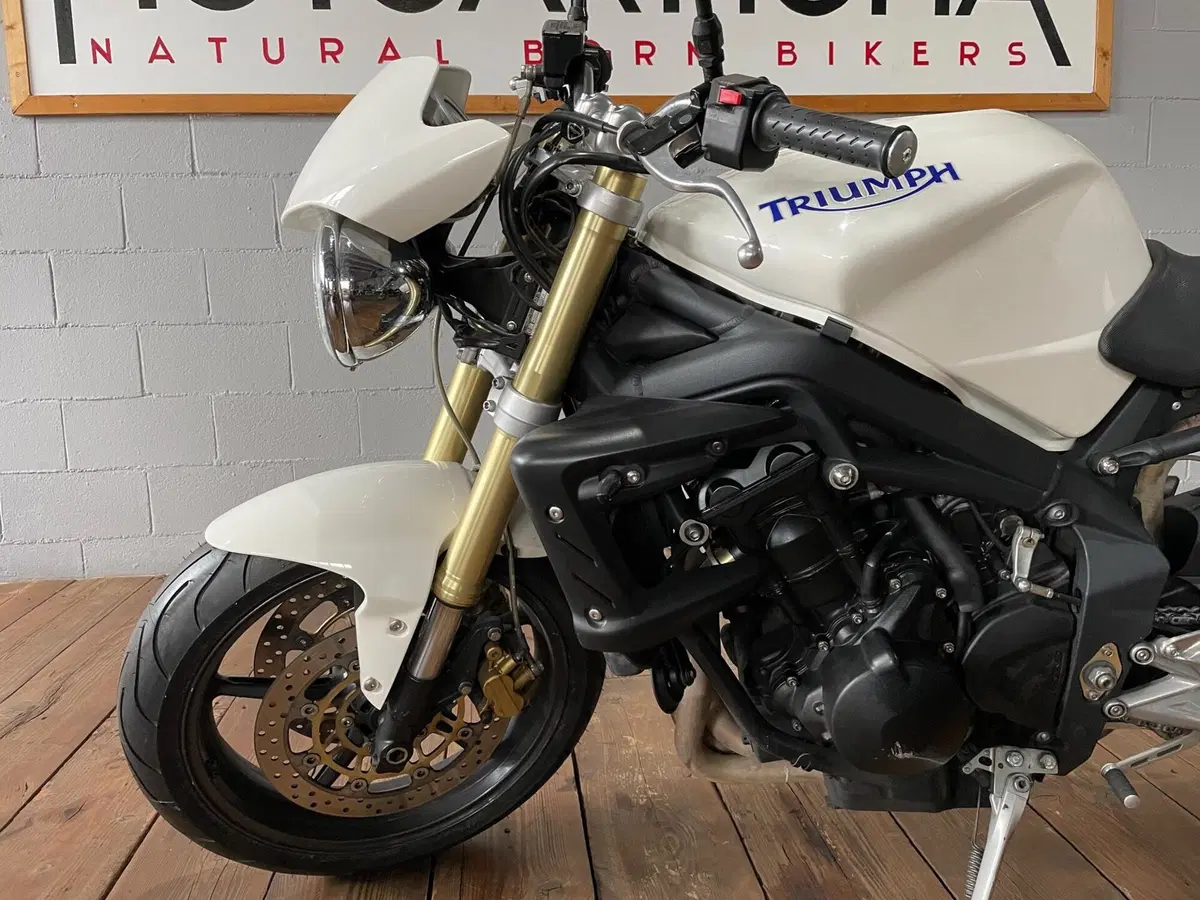 Triumph Street Triple (2007 - 12) (9)