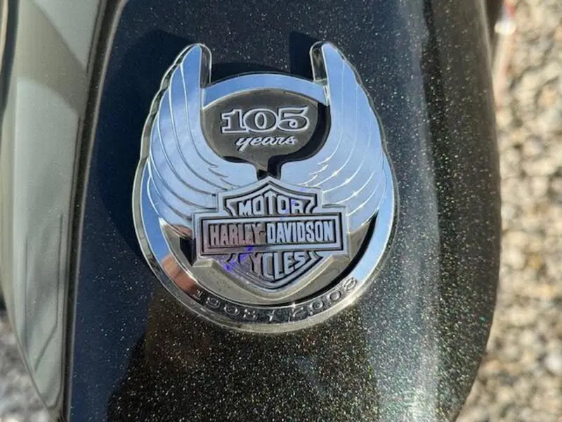 Harley-Davidson 1250 V-Rod (2008 - 12) - VRSCAW (14)