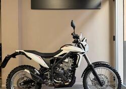 Betamotor Alp 4.0 (2024 - 25) usata