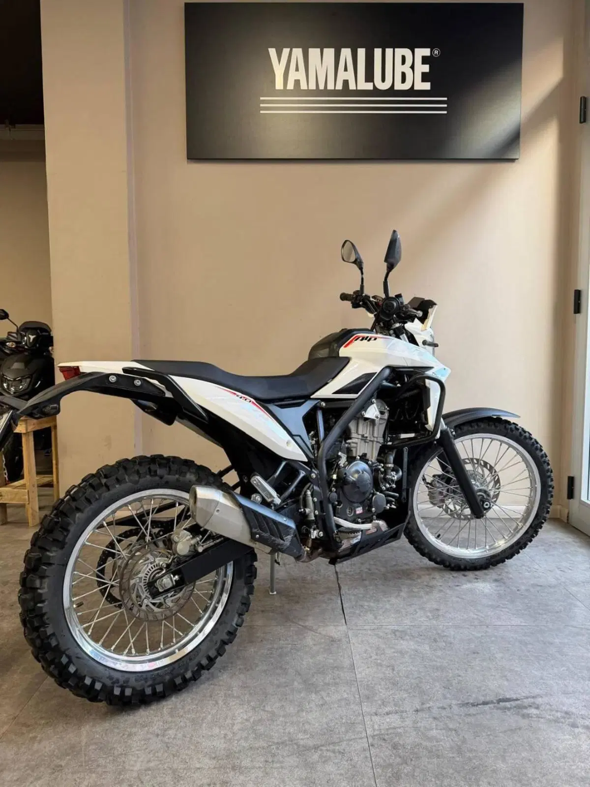 Betamotor Alp 4.0 (2024 - 26) (3)