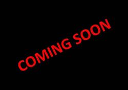 Honda GL 1800 Gold Wing (2007 - 11) usata