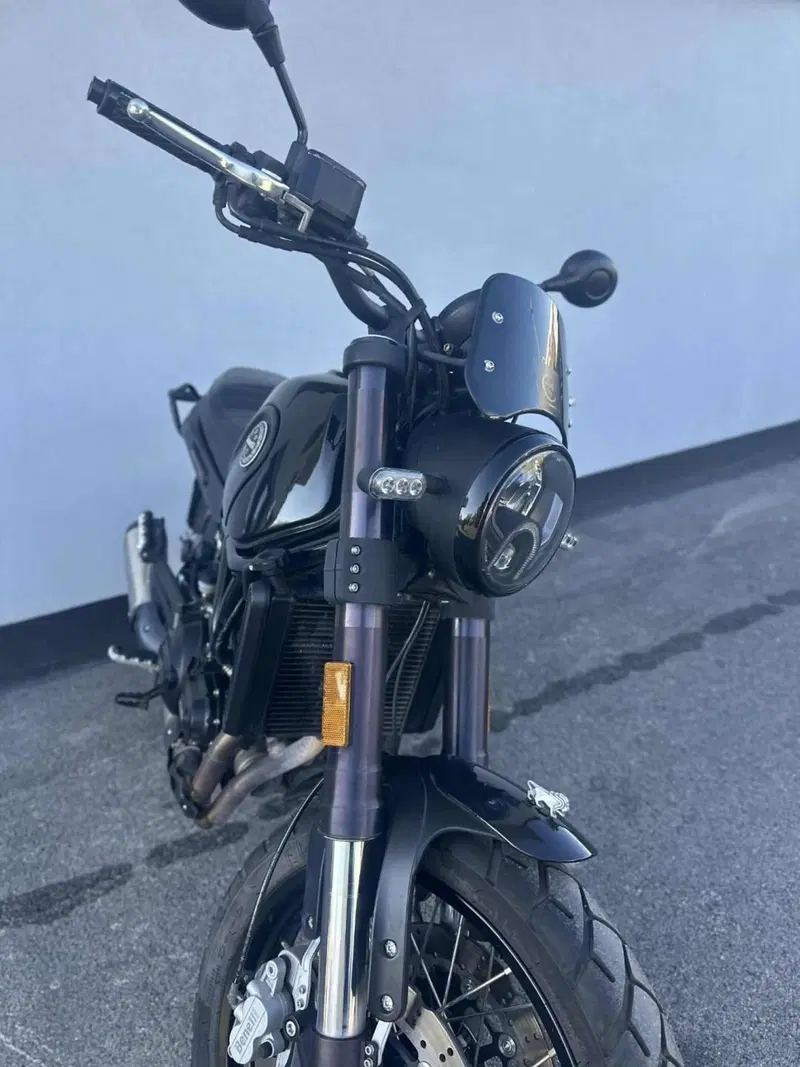 Benelli Leoncino 500 ABS (2017 - 20) (2)