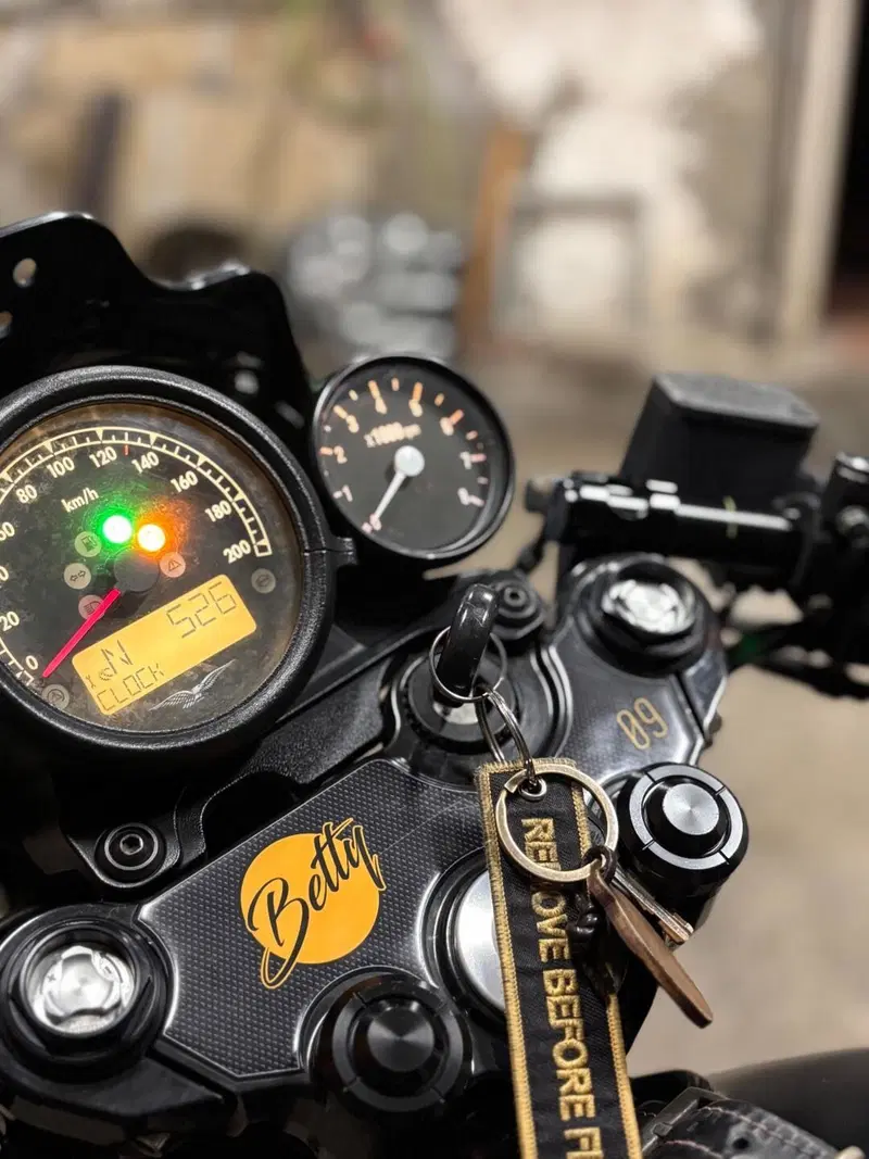 Moto Guzzi V7 III Stone (2017 - 20) (6)