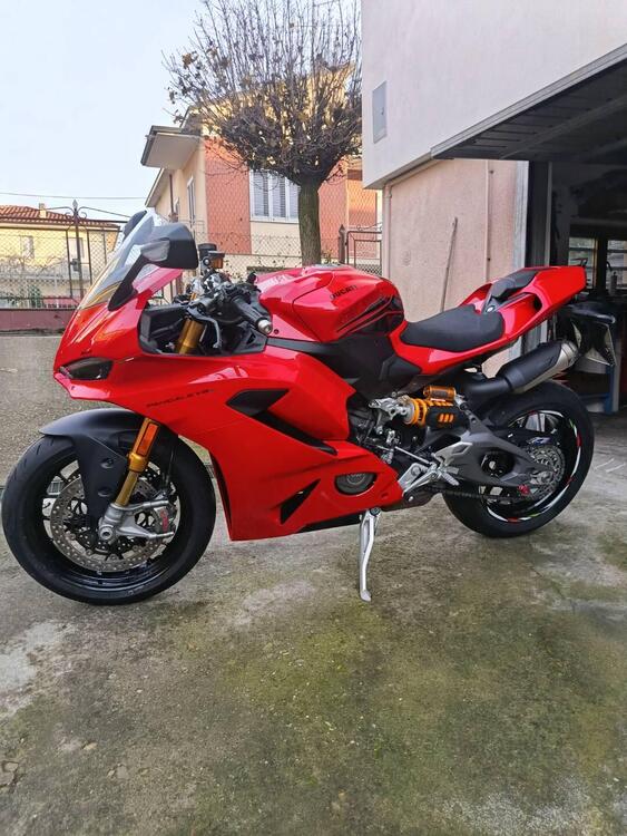 Ducati Panigale V2 S (2025) (5)