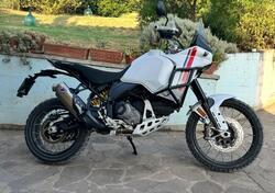 Ducati DesertX (2022 - 25) usata