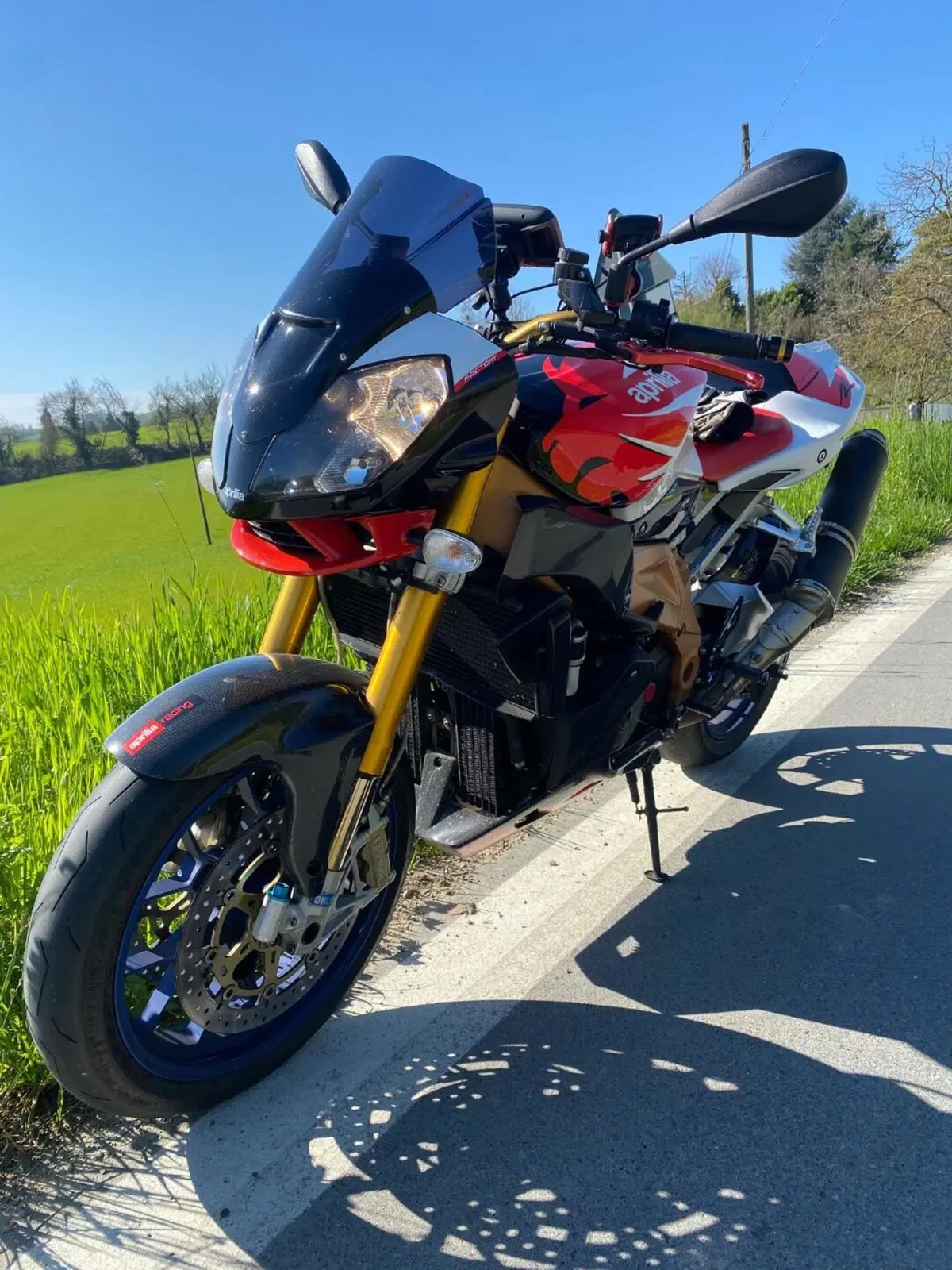 Aprilia Tuono 1000 R Factory (2006 - 11) (10)