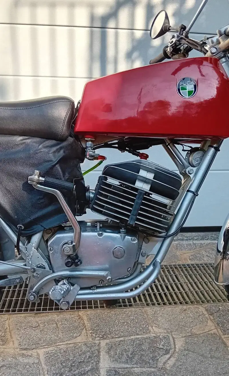 Puch MC 175 (5)