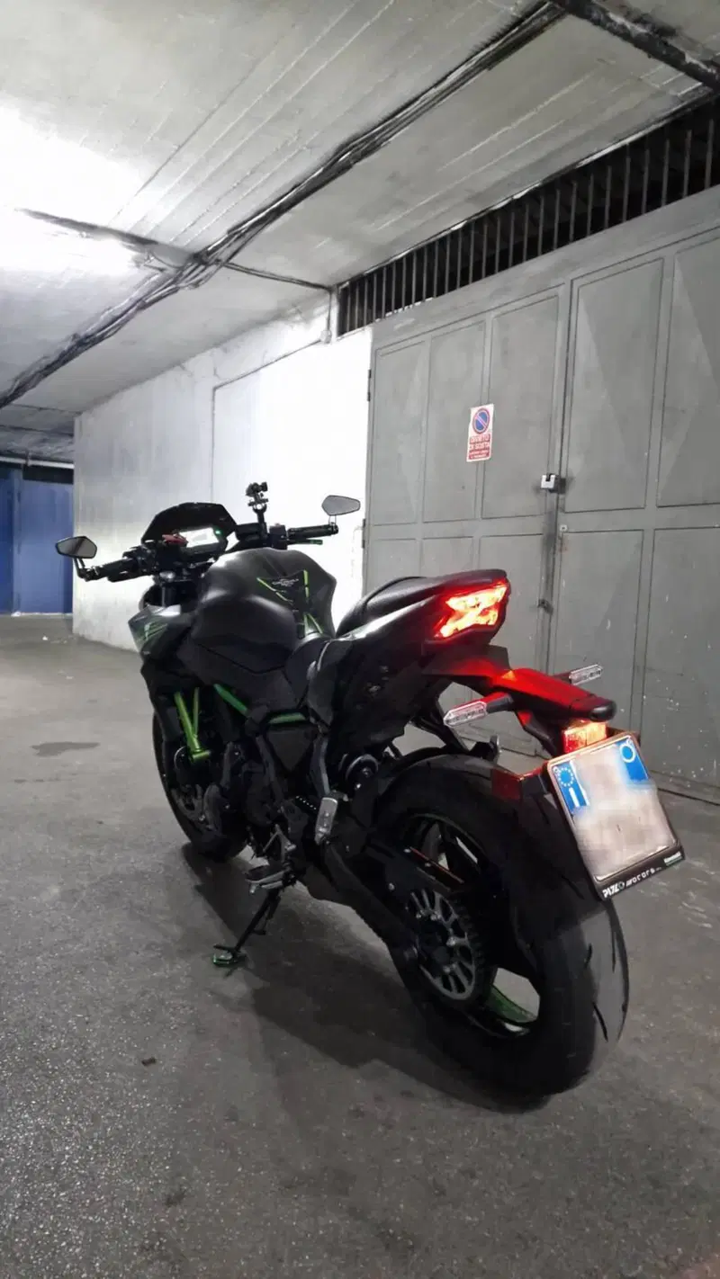 Kawasaki Z 650 Performance (2021 - 24) (4)