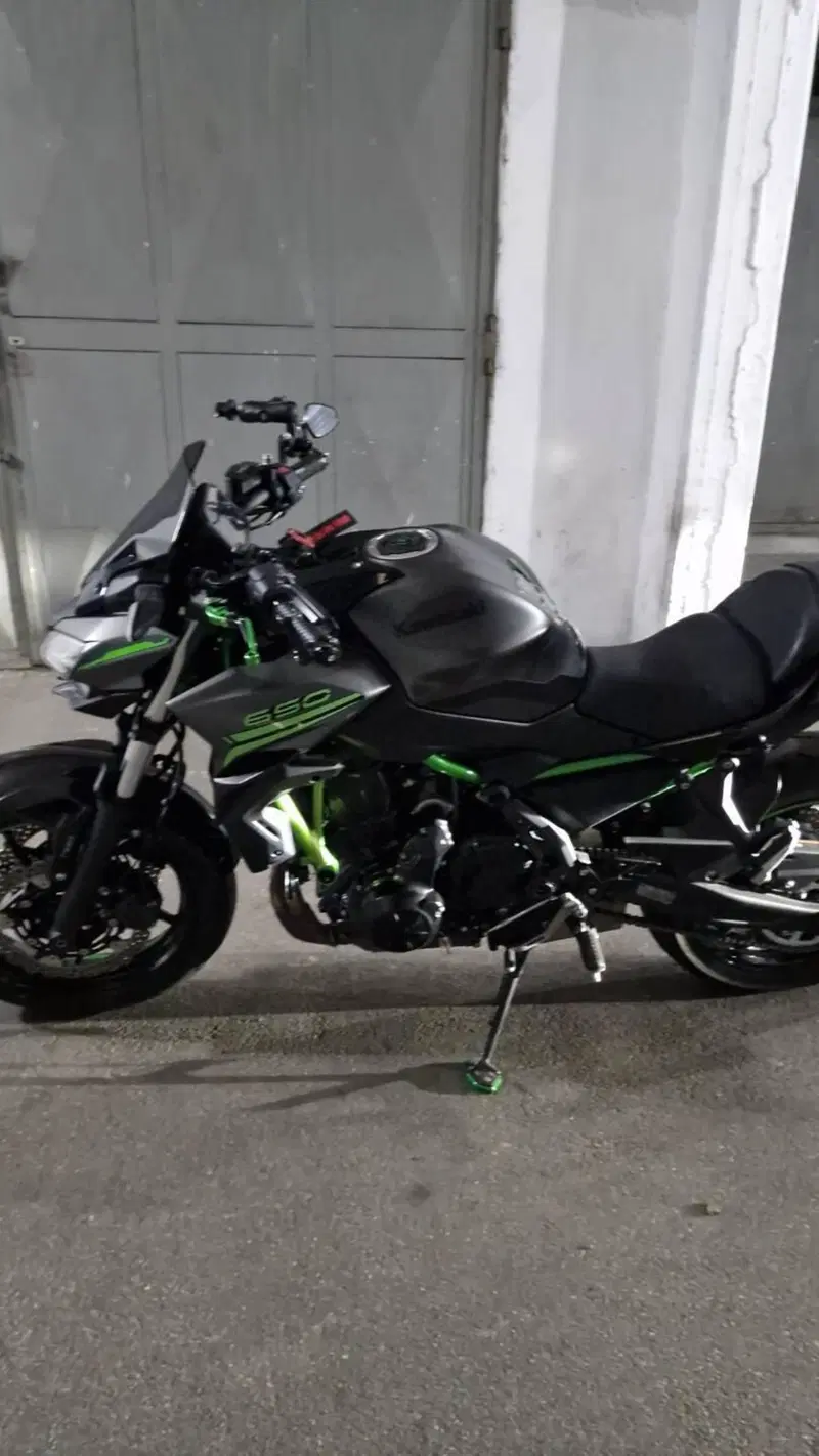 Kawasaki Z 650 Performance (2021 - 24) (9)
