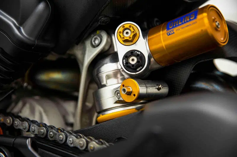Ducati Panigale V4 R (2023 - 24) (14)