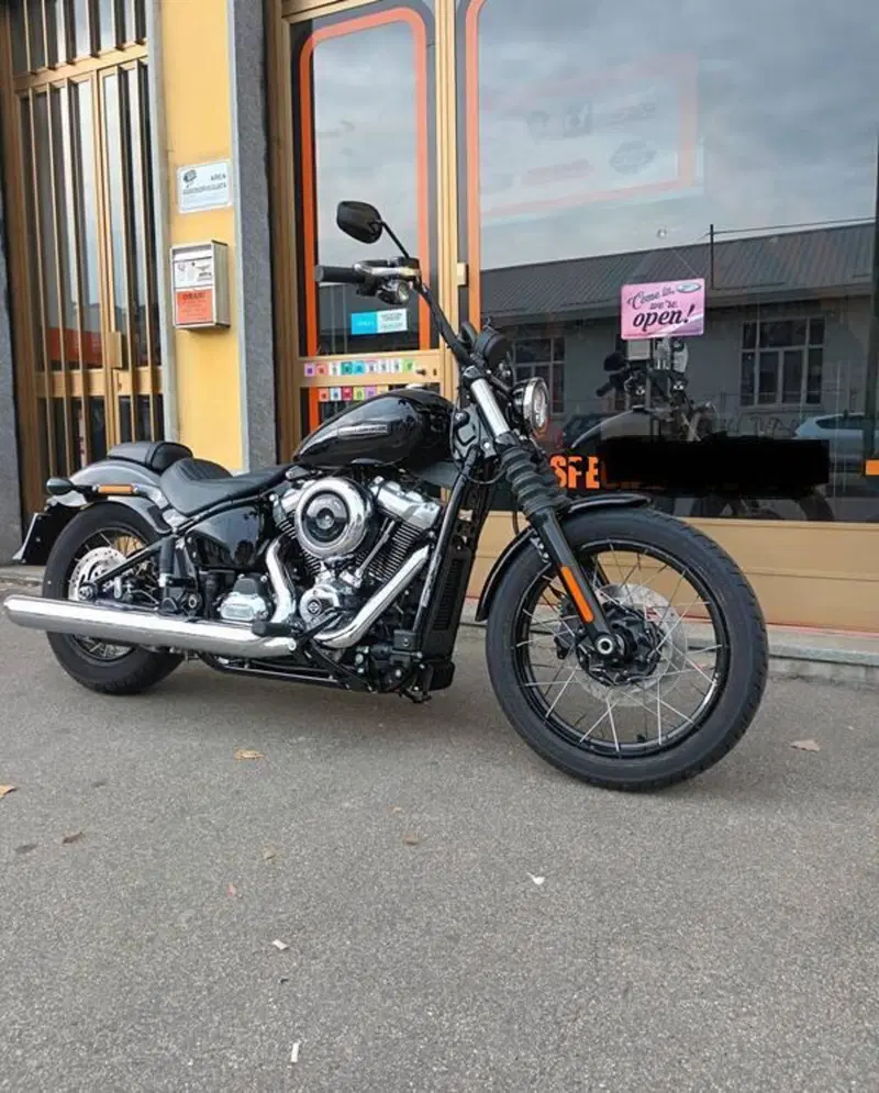 Harley-Davidson Street Bob 117 (2025 - 26) (11)