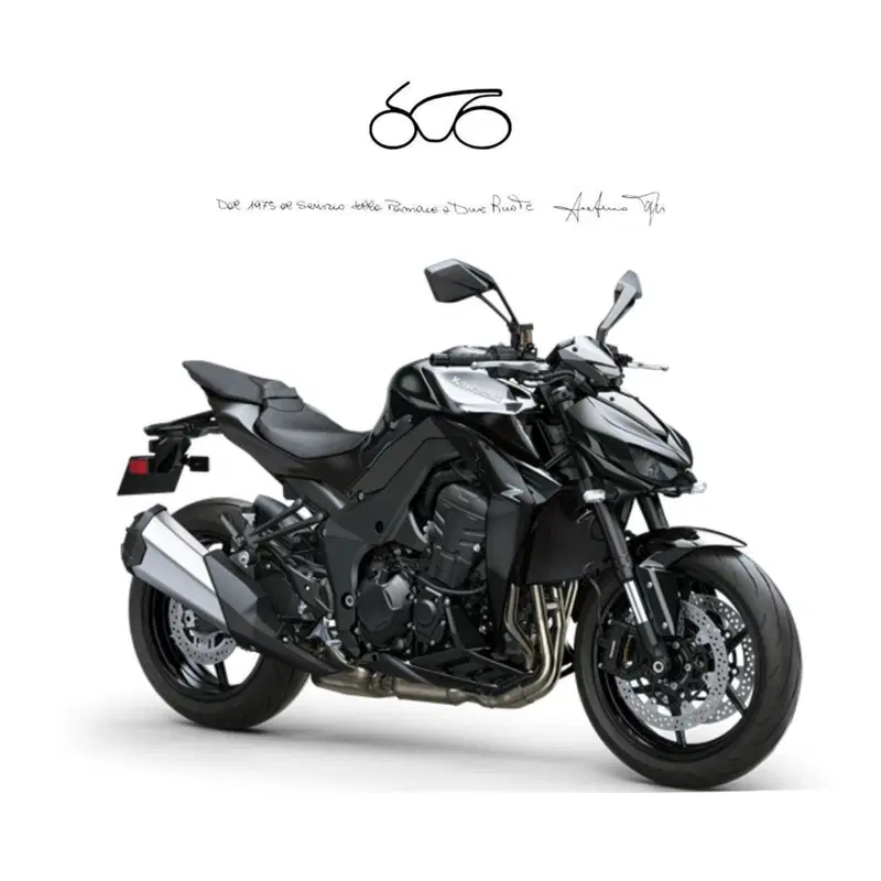 Kawasaki Z 1100 (2026)