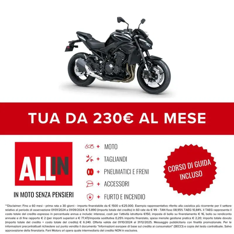 Kawasaki Z 900 (2025 - 26) (2)