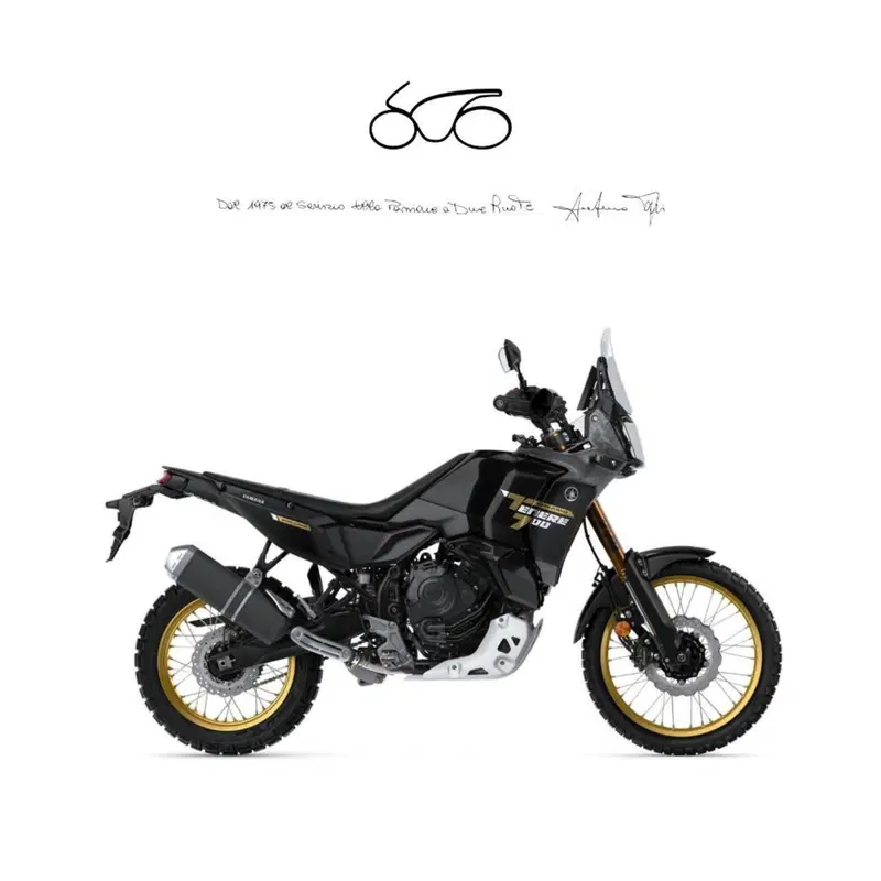 Yamaha Ténéré 700 World Raid (2022 - 25)