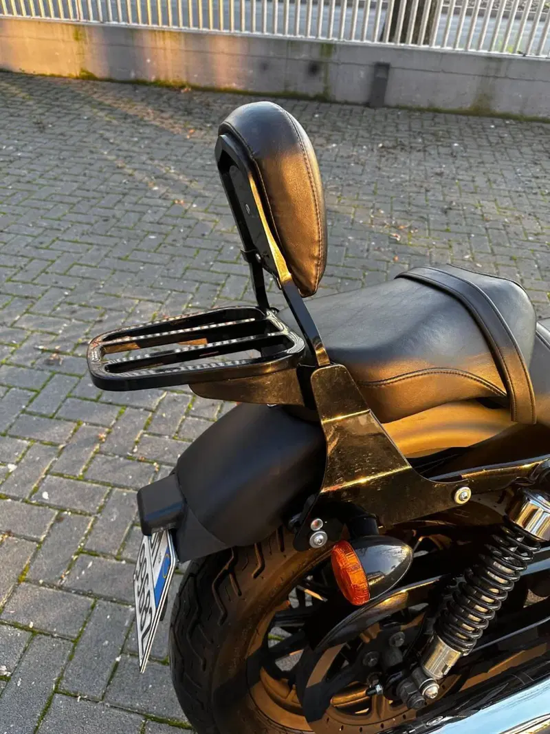 Harley-Davidson 883 Iron (2009 - 11) - XL 883N (5)