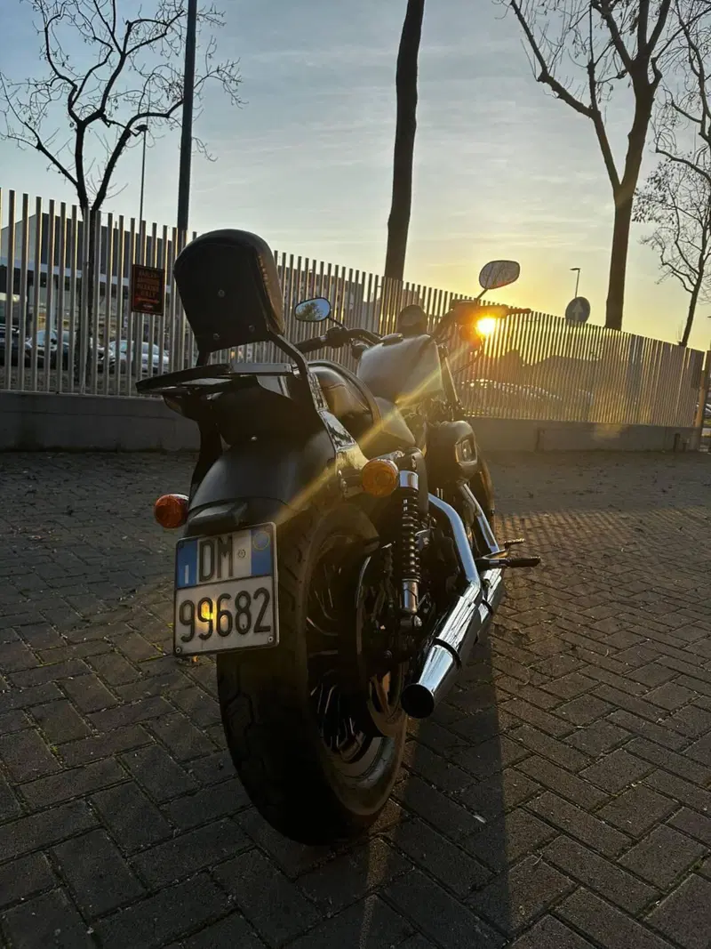 Harley-Davidson 883 Iron (2009 - 11) - XL 883N (3)