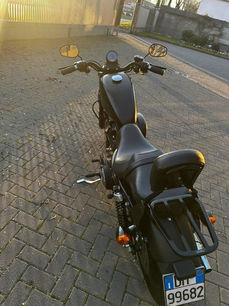 Harley-Davidson 883 Iron (2009 - 11) - XL 883N (4)