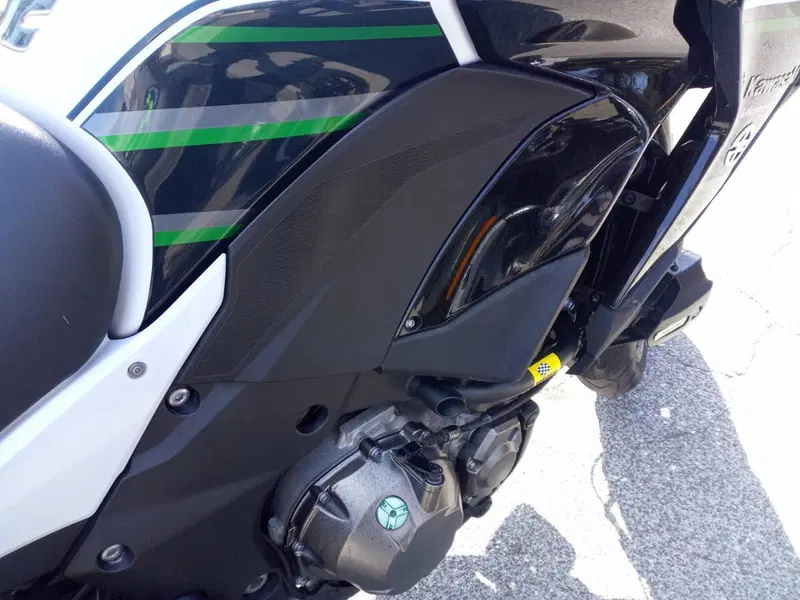 Kawasaki Versys 1000 Grand Tourer SE (2019 - 20) (6)