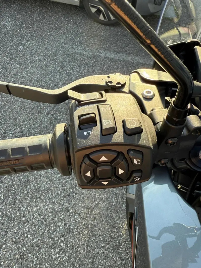 Harley-Davidson Pan America 1250 (2020 - 25) (4)