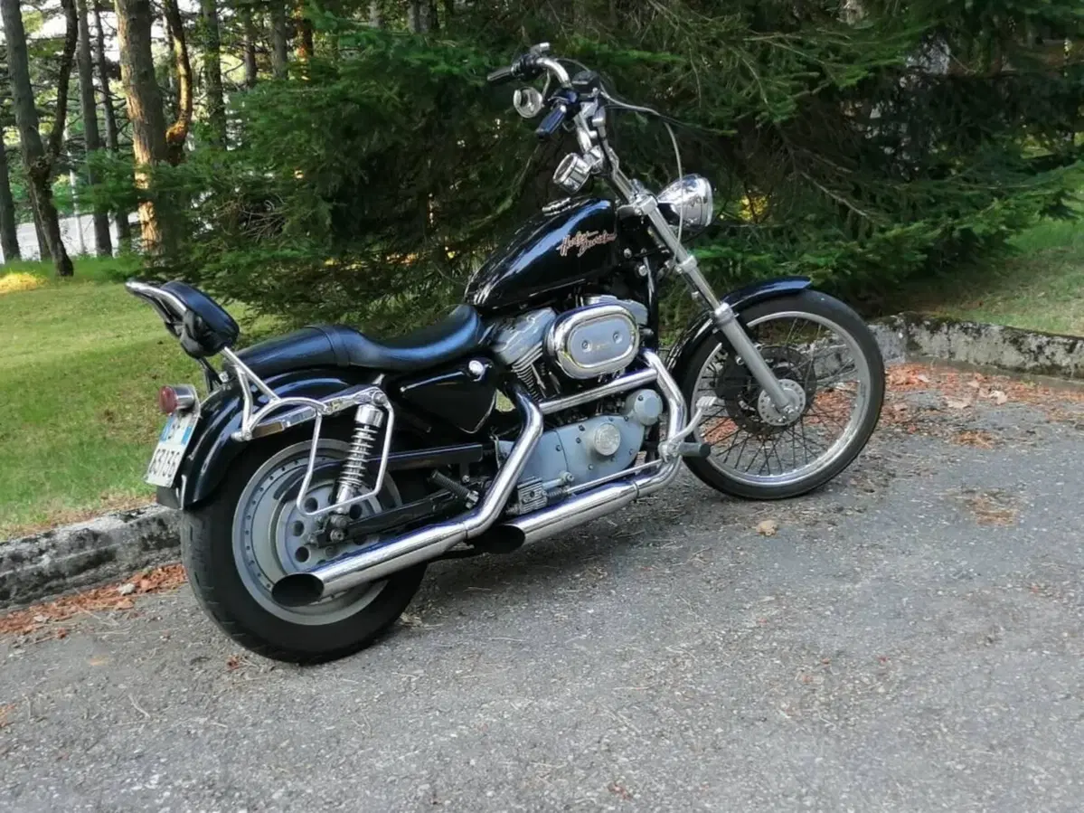 Harley-Davidson 883 Custom (2001 - 05) - XL 53C