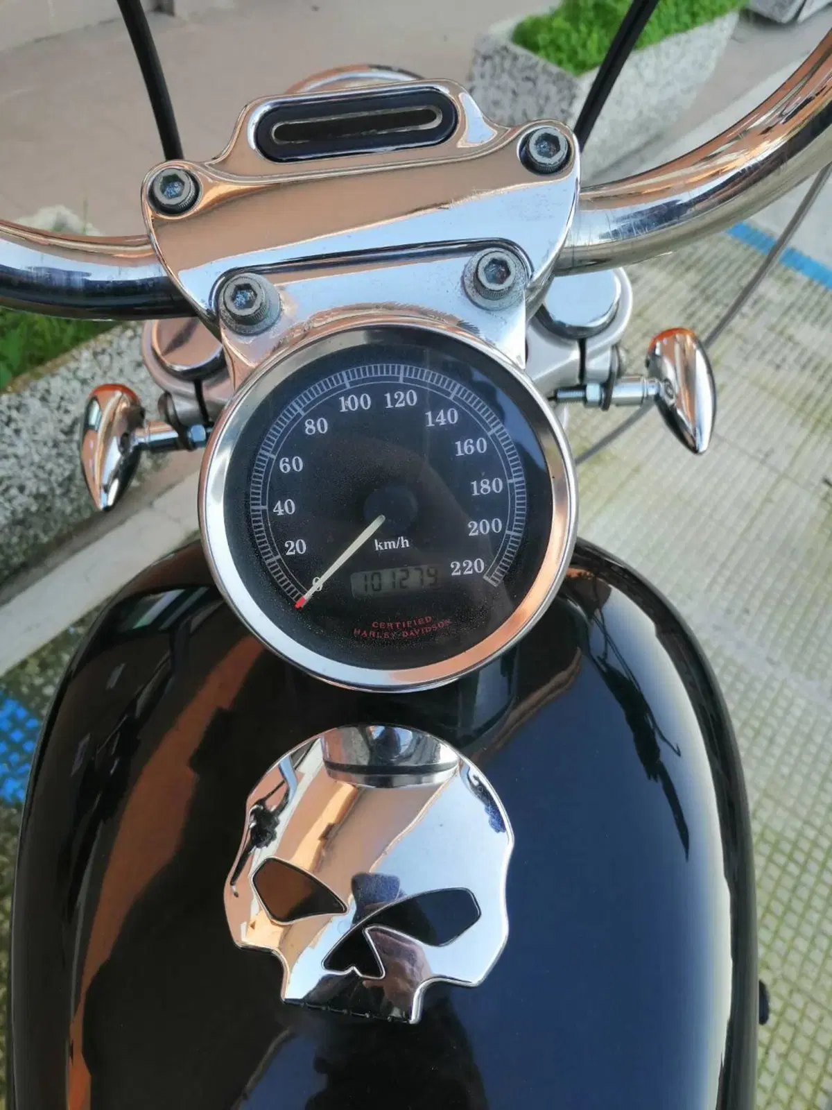 Harley-Davidson 883 Custom (2001 - 05) - XL 53C (11)