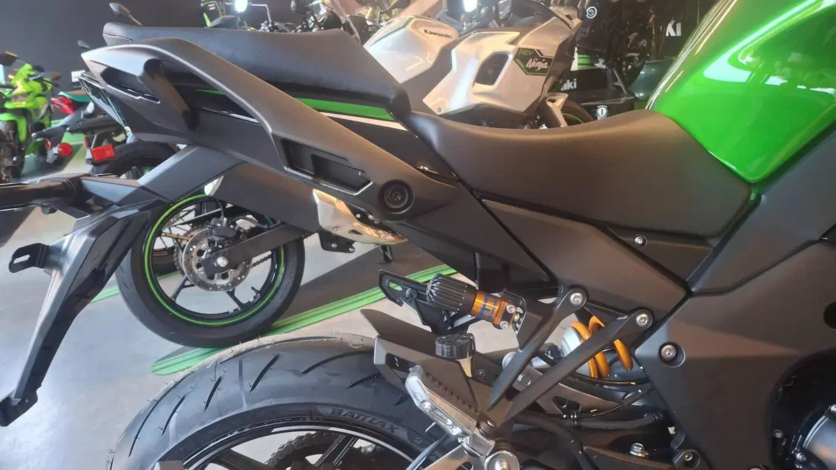 Kawasaki Ninja 1100 SX SE (2025 - 26) (3)