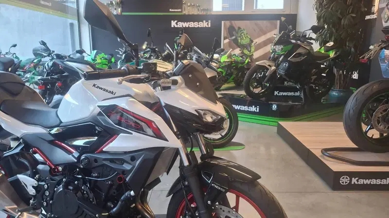 Kawasaki Z 500 SE (2024 - 26) (3)