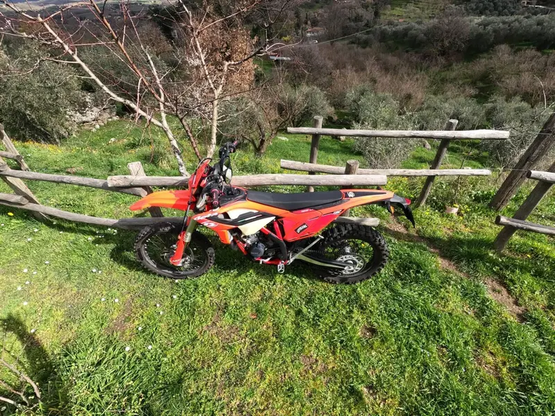 Betamotor RR 125 2T Enduro Racing (2022) (7)