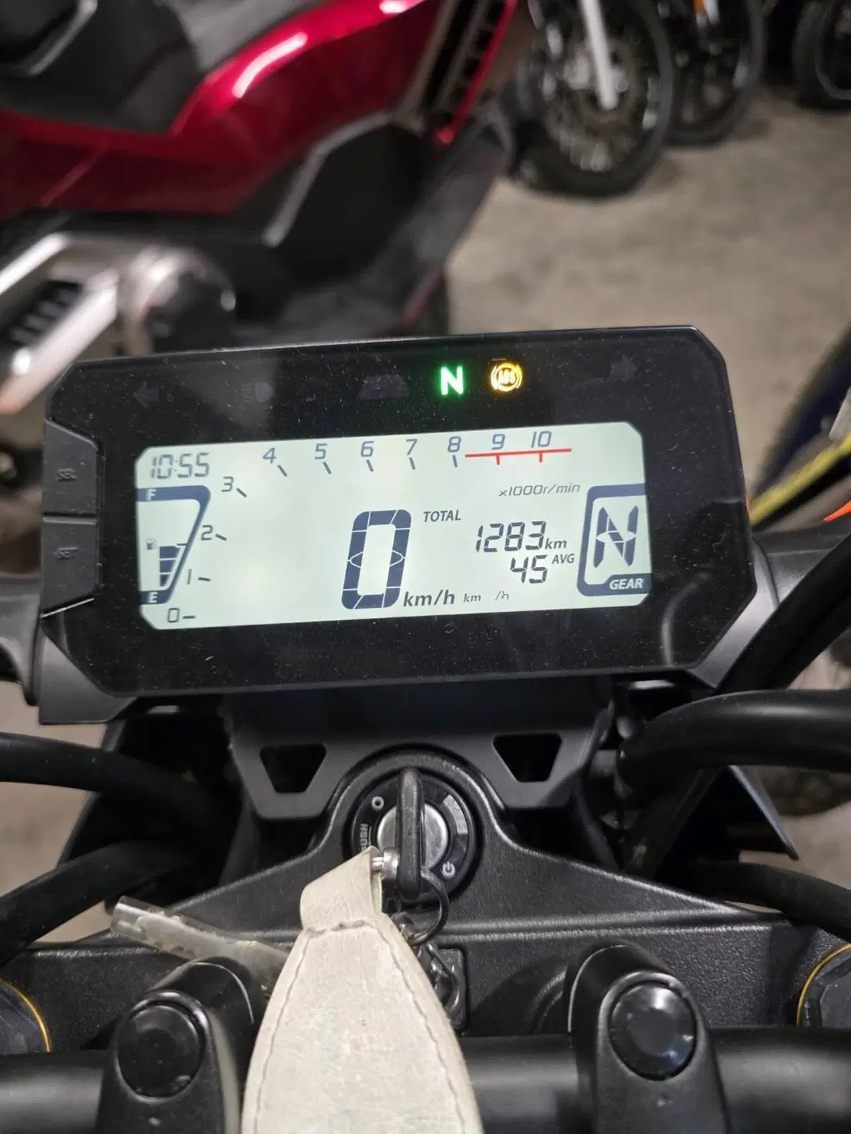 Honda MSX 125 Grom (2021 - 26) (5)