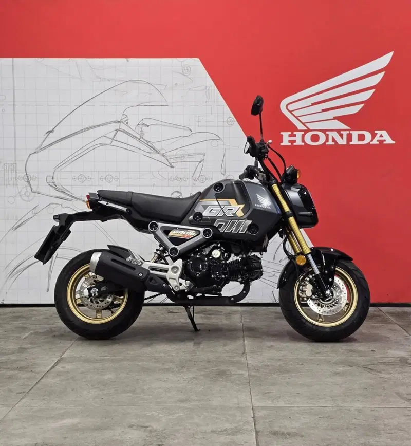 Honda MSX 125 Grom (2021 - 26) (3)