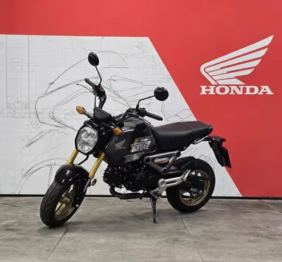 Honda MSX 125 Grom (2021 - 26) usata