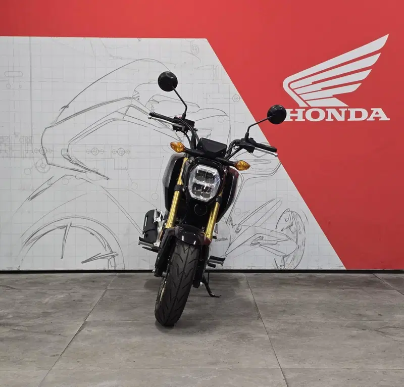 Honda MSX 125 Grom (2021 - 26) (2)