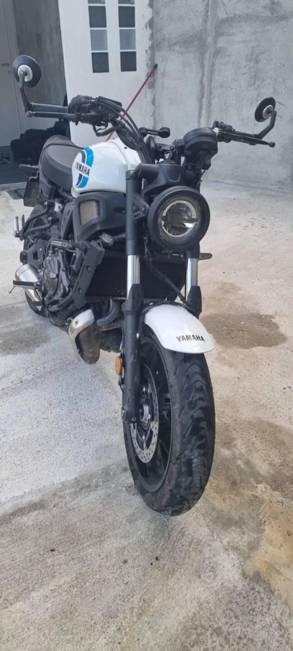 Yamaha XSR 700 (2022 - 26) (2)