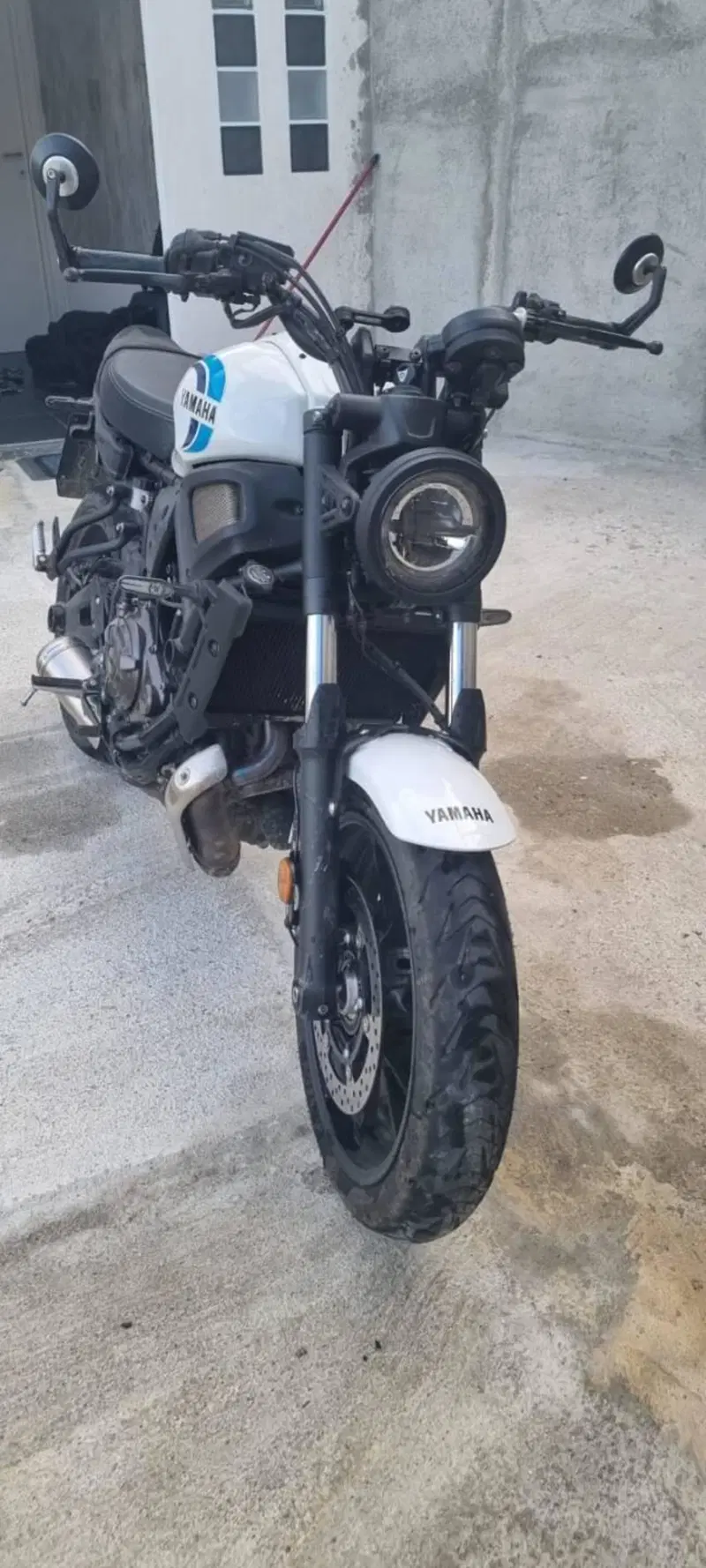 Yamaha XSR 700 (2022 - 26) (2)