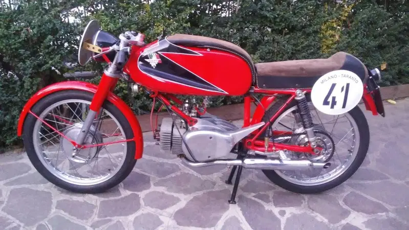 Rumi junior