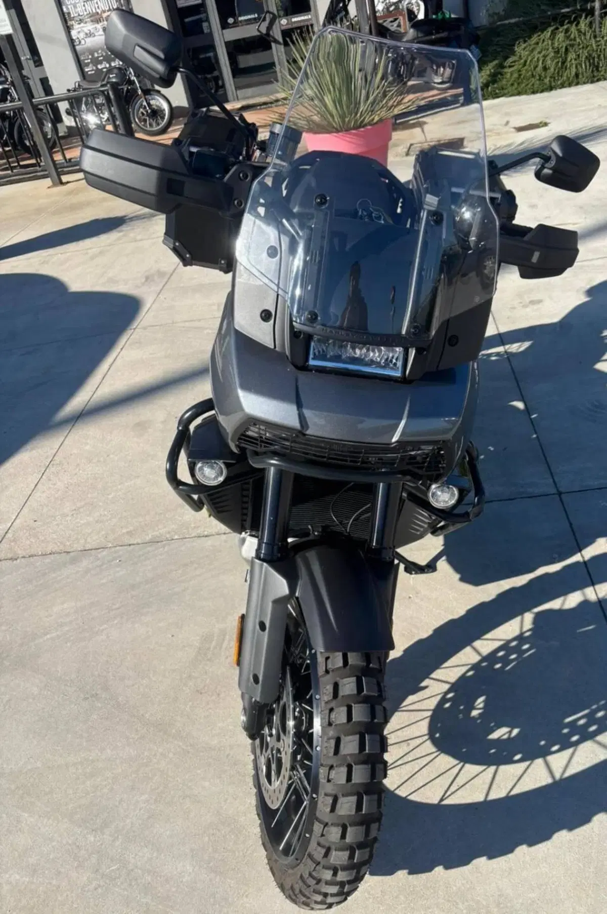 Harley-Davidson Pan America 1250 Special (2020 - 25) (3)