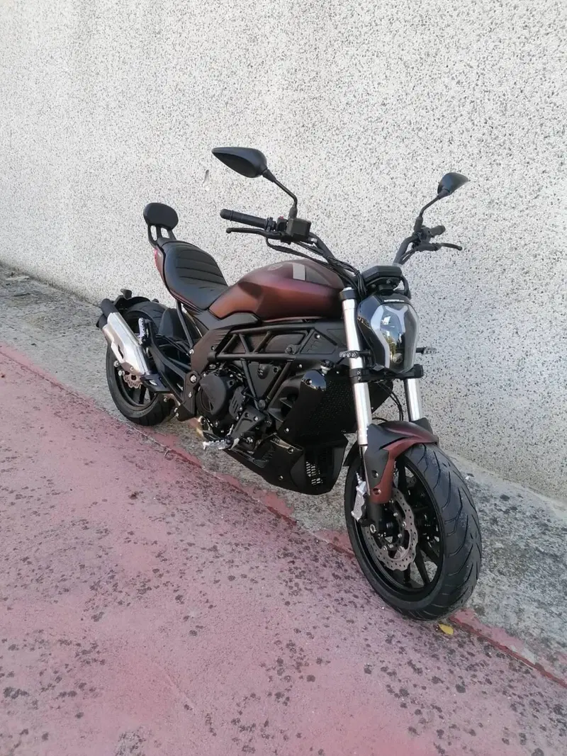 Benelli 502 C (2021 - 25) (2)