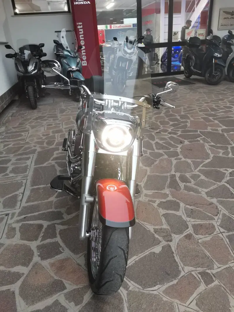 Harley-Davidson Fat Boy 117 (2025 - 26) (4)