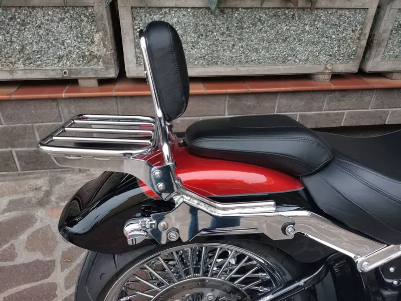 Harley-Davidson Fat Boy 117 (2025 - 26) (6)